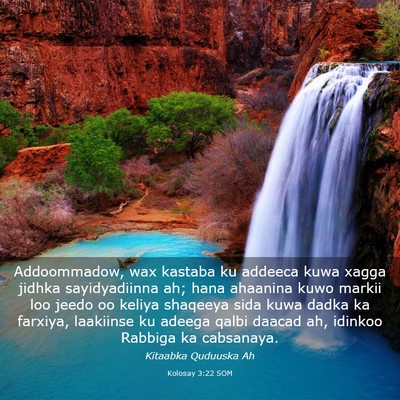 Picture 03 - Kolosay 3:22 SOM - Addoommadow, wax kastaba ku addeeca kuwa xagga - Bible Verse Picture