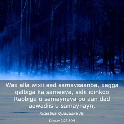 Picture 03 - Kolosay 3:23 SOM - Wax alla wixii aad samaysaanba, xagga qalbiga ka - Bible Verse Picture