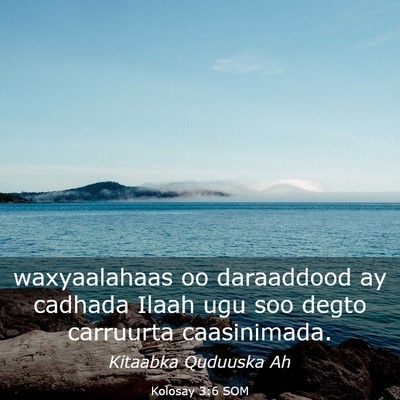 Picture 03 - Kolosay 3:6 SOM - waxyaalahaas oo daraaddood ay cadhada Ilaah ugu - Bible Verse Picture