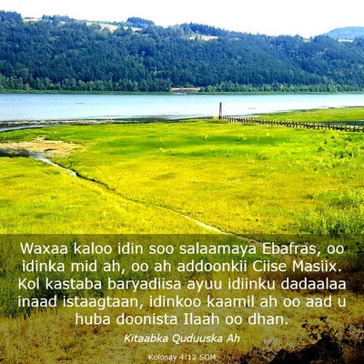 Picture 03 - Kolosay 4:12 SOM - Waxaa kaloo idin soo salaamaya Ebafras, oo idinka - Bible Verse Picture