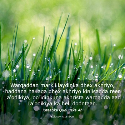 Picture 03 - Kolosay 4:16 SOM - Warqaddan markii laydinka dhex akhriyo, haddana - Bible Verse Picture