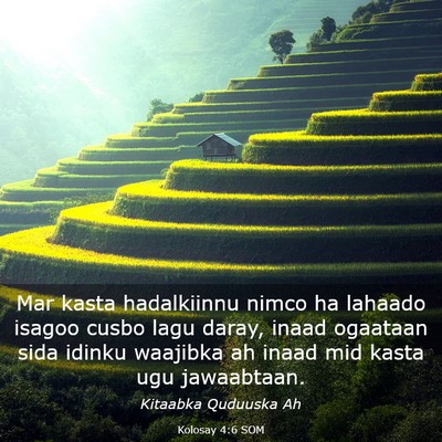 Picture 03 - Kolosay 4:6 SOM - Mar kasta hadalkiinnu nimco ha lahaado isagoo - Bible Verse Picture