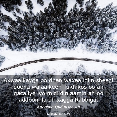 Picture 03 - Kolosay 4:7 SOM - Axwaalkayga oo dhan waxaa idiin sheegi doona - Bible Verse Picture