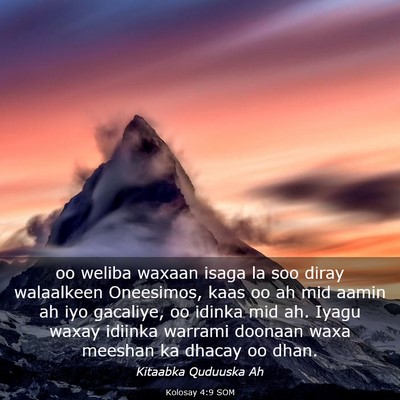 Picture 03 - Kolosay 4:9 SOM - oo weliba waxaan isaga la soo diray walaalkeen - Bible Verse Picture