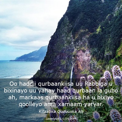 Picture 03 - Laawiyiintii 1:14 SOM - Oo haddii qurbaankiisa uu Rabbiga u bixinayo uu - Bible Verse Picture
