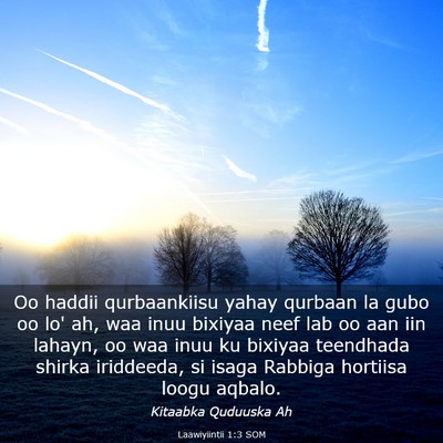 Picture 03 - Laawiyiintii 1:3 SOM - Oo haddii qurbaankiisu yahay qurbaan la gubo oo - Bible Verse Picture