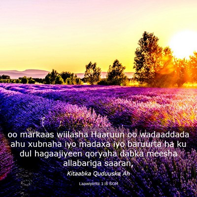 Picture 03 - Laawiyiintii 1:8 SOM - oo markaas wiilasha Haaruun oo wadaaddada ahu - Bible Verse Picture