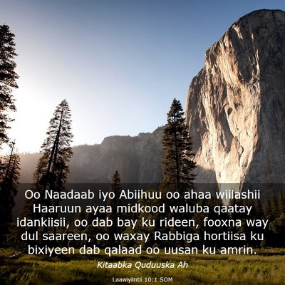 Picture 03 - Laawiyiintii 10:1 SOM - Oo Naadaab iyo Abiihuu oo ahaa wiilashii Haaruun - Bible Verse Picture