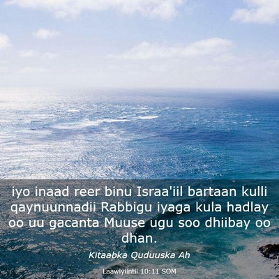 Picture 03 - Laawiyiintii 10:11 SOM - iyo inaad reer binu Israa'iil bartaan kulli - Bible Verse Picture