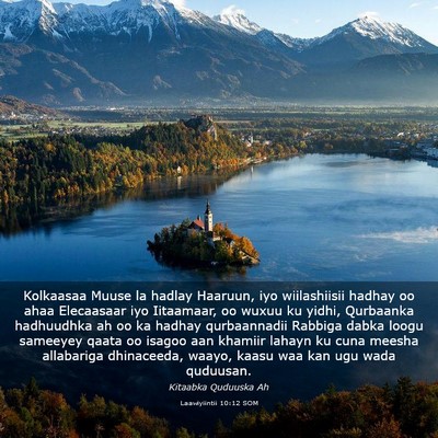 Picture 03 - Laawiyiintii 10:12 SOM - Kolkaasaa Muuse la hadlay Haaruun, iyo - Bible Verse Picture