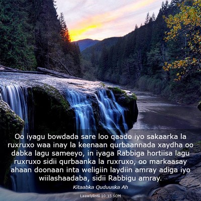 Picture 03 - Laawiyiintii 10:15 SOM - Oo iyagu bowdada sare loo qaado iyo sakaarka la - Bible Verse Picture