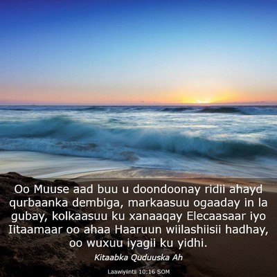 Picture 03 - Laawiyiintii 10:16 SOM - Oo Muuse aad buu u doondoonay ridii ahayd - Bible Verse Picture