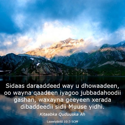 Picture 03 - Laawiyiintii 10:5 SOM - Sidaas daraaddeed way u dhowaadeen, oo wayna - Bible Verse Picture