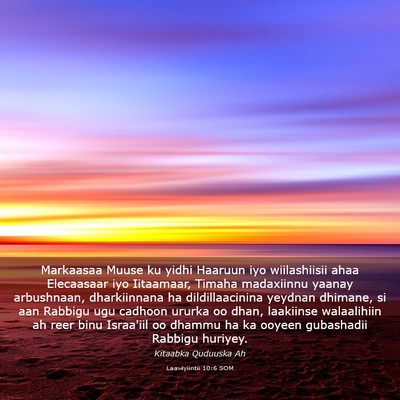 Picture 03 - Laawiyiintii 10:6 SOM - Markaasaa Muuse ku yidhi Haaruun iyo wiilashiisii - Bible Verse Picture