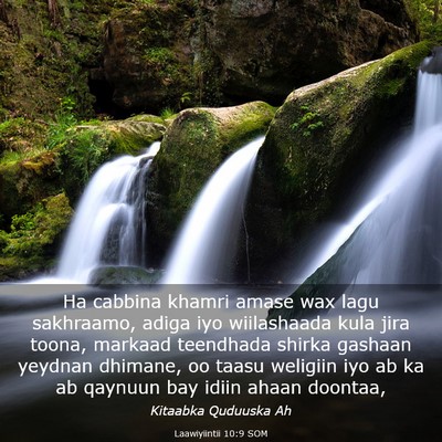 Picture 03 - Laawiyiintii 10:9 SOM - Ha cabbina khamri amase wax lagu sakhraamo, adiga - Bible Verse Picture