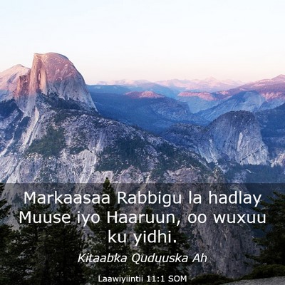 Picture 03 - Laawiyiintii 11:1 SOM - Markaasaa Rabbigu la hadlay Muuse iyo Haaruun, oo - Bible Verse Picture