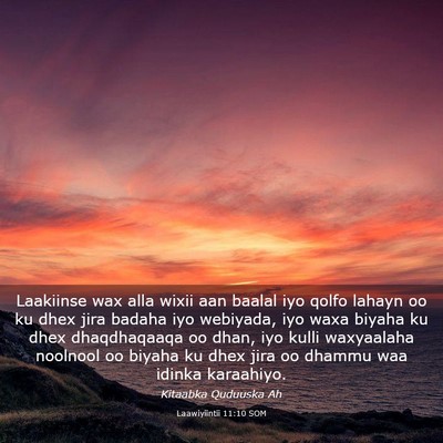 Picture 03 - Laawiyiintii 11:10 SOM - Laakiinse wax alla wixii aan baalal iyo qolfo - Bible Verse Picture