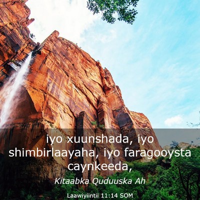 Picture 03 - Laawiyiintii 11:14 SOM - iyo xuunshada, iyo shimbirlaayaha, iyo - Bible Verse Picture