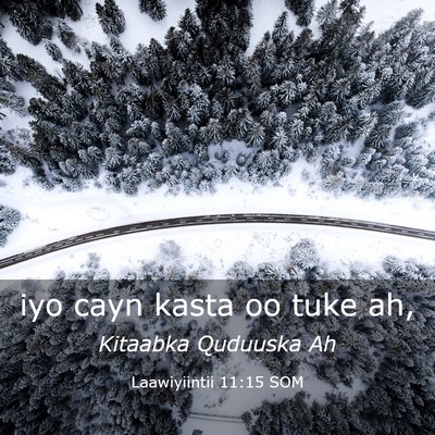 Picture 03 - Laawiyiintii 11:15 SOM - iyo cayn kasta oo tuke - Bible Verse Picture