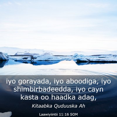 Picture 03 - Laawiyiintii 11:16 SOM - iyo gorayada, iyo aboodiga, iyo shimbirbadeedda, - Bible Verse Picture