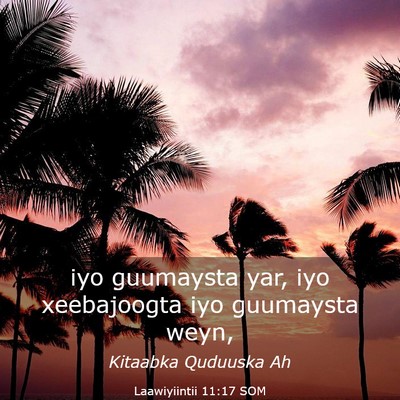 Picture 03 - Laawiyiintii 11:17 SOM - iyo guumaysta yar, iyo xeebajoogta iyo guumaysta - Bible Verse Picture