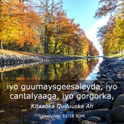 Picture 03 - Laawiyiintii 11:18 SOM - iyo guumaysgeesaleyda, iyo cantalyaaga, iyo - Bible Verse Picture