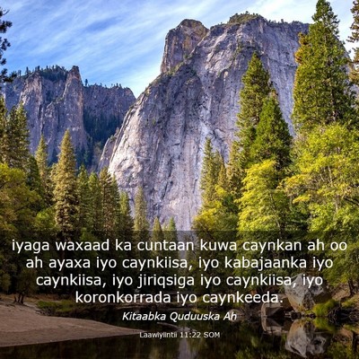 Picture 03 - Laawiyiintii 11:22 SOM - iyaga waxaad ka cuntaan kuwa caynkan ah oo ah - Bible Verse Picture
