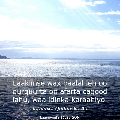 Picture 03 - Laawiyiintii 11:23 SOM - Laakiinse wax baalal leh oo gurguurta oo afarta - Bible Verse Picture