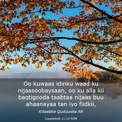 Picture 03 - Laawiyiintii 11:24 SOM - Oo kuwaas idinku waad ku nijaasoobaysaan, oo ku - Bible Verse Picture