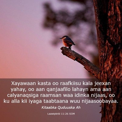 Picture 03 - Laawiyiintii 11:26 SOM - Xayawaan kasta oo raafkiisu kala jeexan yahay, oo - Bible Verse Picture