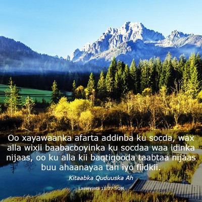 Picture 03 - Laawiyiintii 11:27 SOM - Oo xayawaanka afarta addinba ku socda, wax alla - Bible Verse Picture