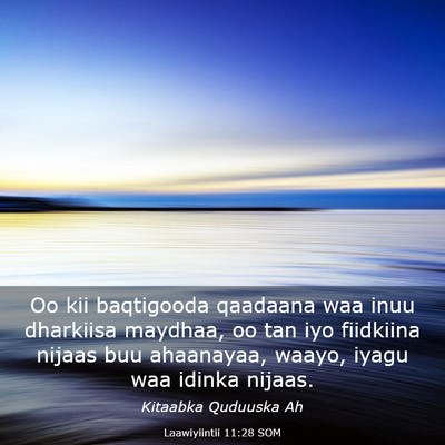 Picture 03 - Laawiyiintii 11:28 SOM - Oo kii baqtigooda qaadaana waa inuu dharkiisa - Bible Verse Picture
