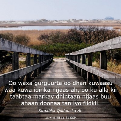 Picture 03 - Laawiyiintii 11:31 SOM - Oo waxa gurguurta oo dhan kuwaasu waa kuwa idinka - Bible Verse Picture