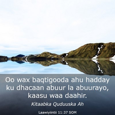Picture 03 - Laawiyiintii 11:37 SOM - Oo wax baqtigooda ahu hadday ku dhacaan abuur la - Bible Verse Picture