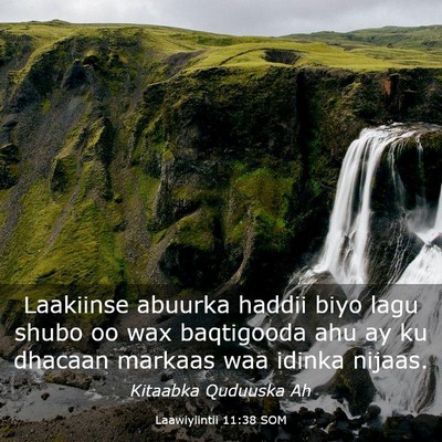 Picture 03 - Laawiyiintii 11:38 SOM - Laakiinse abuurka haddii biyo lagu shubo oo wax - Bible Verse Picture