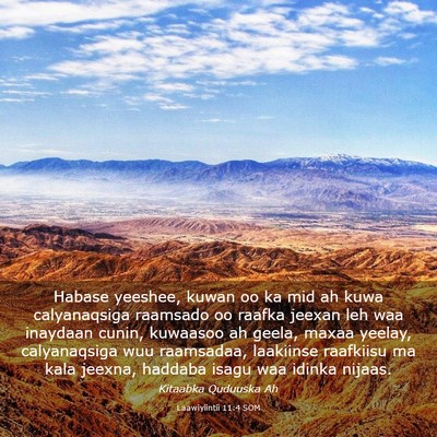 Picture 03 - Laawiyiintii 11:4 SOM - Habase yeeshee, kuwan oo ka mid ah kuwa - Bible Verse Picture