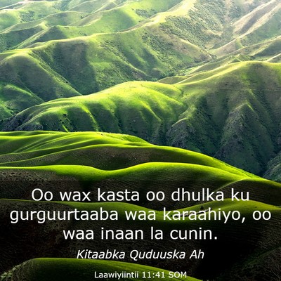 Picture 03 - Laawiyiintii 11:41 SOM - Oo wax kasta oo dhulka ku gurguurtaaba waa - Bible Verse Picture