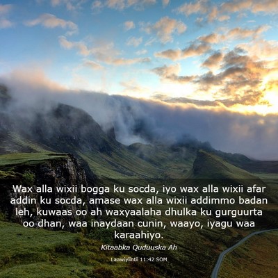 Picture 03 - Laawiyiintii 11:42 SOM - Wax alla wixii bogga ku socda, iyo wax alla wixii - Bible Verse Picture
