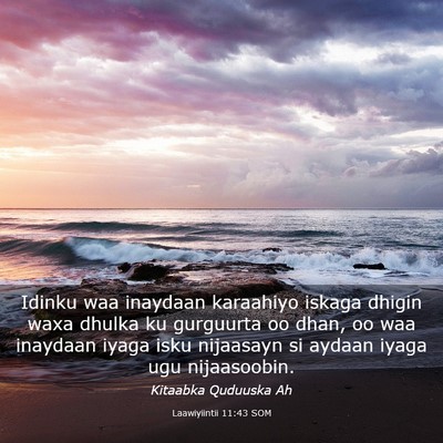 Picture 03 - Laawiyiintii 11:43 SOM - Idinku waa inaydaan karaahiyo iskaga dhigin waxa - Bible Verse Picture