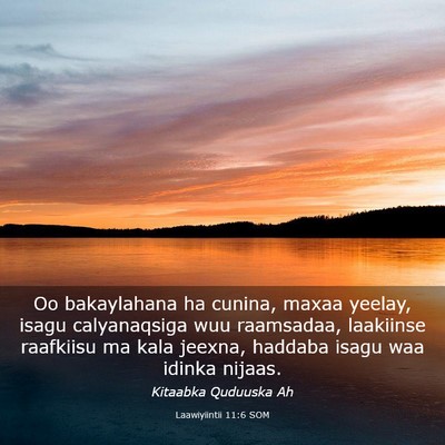 Picture 03 - Laawiyiintii 11:6 SOM - Oo bakaylahana ha cunina, maxaa yeelay, isagu - Bible Verse Picture