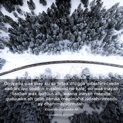 Picture 03 - Laawiyiintii 12:4 SOM - Oo iyadu waa inay ku sii jirtaa dhiigga - Bible Verse Picture