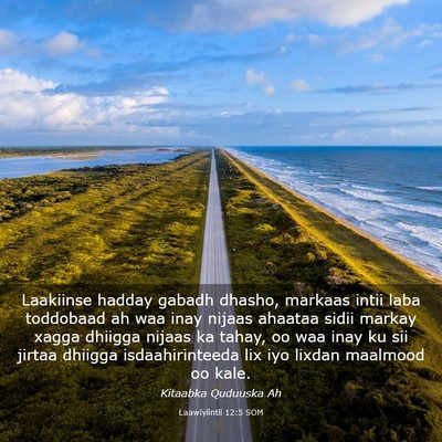 Picture 03 - Laawiyiintii 12:5 SOM - Laakiinse hadday gabadh dhasho, markaas intii - Bible Verse Picture