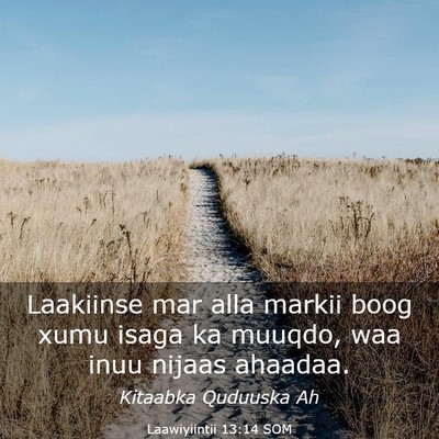 Picture 03 - Laawiyiintii 13:14 SOM - Laakiinse mar alla markii boog xumu isaga ka - Bible Verse Picture