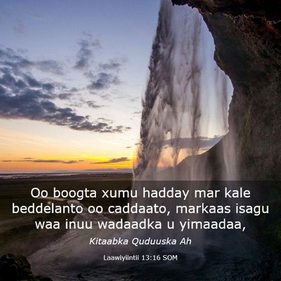 Picture 03 - Laawiyiintii 13:16 SOM - Oo boogta xumu hadday mar kale beddelanto oo - Bible Verse Picture