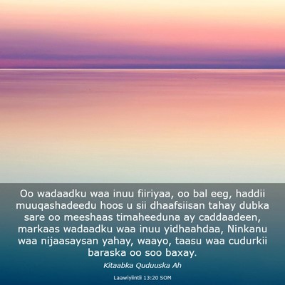 Picture 03 - Laawiyiintii 13:20 SOM - Oo wadaadku waa inuu fiiriyaa, oo bal eeg, haddii - Bible Verse Picture