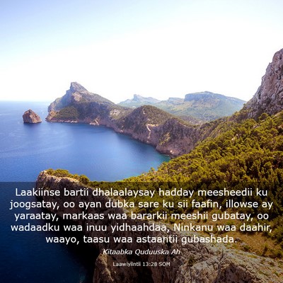 Picture 03 - Laawiyiintii 13:28 SOM - Laakiinse bartii dhalaalaysay hadday meesheedii - Bible Verse Picture