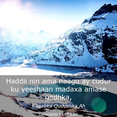 Picture 03 - Laawiyiintii 13:29 SOM - Haddii nin ama naagu ay cudur ku yeeshaan madaxa - Bible Verse Picture