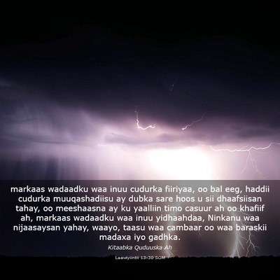 Picture 03 - Laawiyiintii 13:30 SOM - markaas wadaadku waa inuu cudurka fiiriyaa, oo - Bible Verse Picture