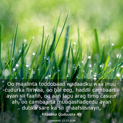 Picture 03 - Laawiyiintii 13:32 SOM - Oo maalinta toddobaad wadaadku waa inuu cudurka - Bible Verse Picture