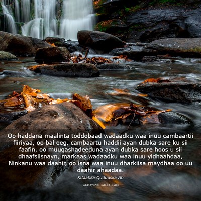 Picture 03 - Laawiyiintii 13:34 SOM - Oo haddana maalinta toddobaad wadaadku waa inuu - Bible Verse Picture